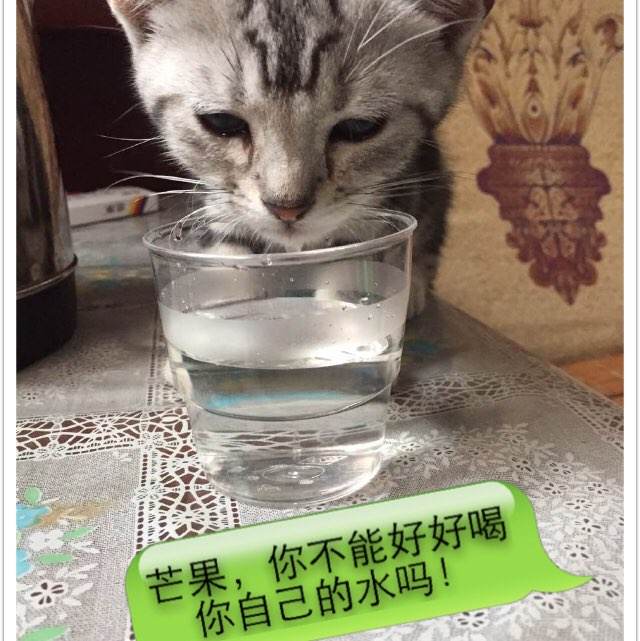 学位证书查不到原因